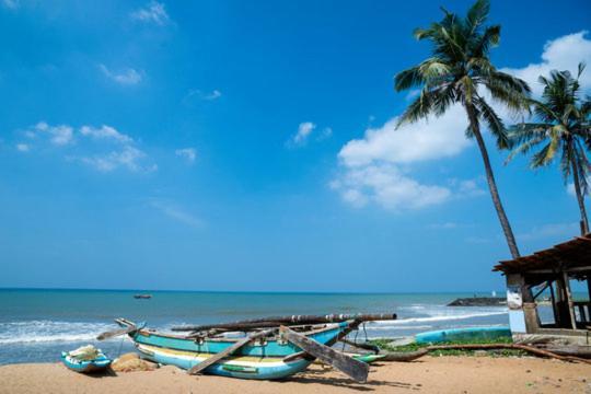 Aloe Vera Villa Negombo Exterior foto